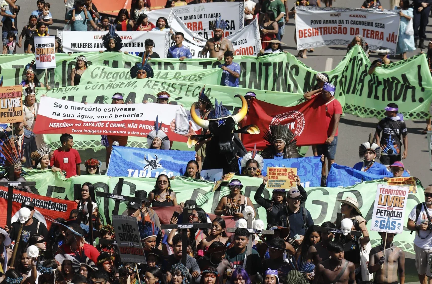 Boi Caprichoso Acampamento Terra Livre - Fotos: Michel Amazonas